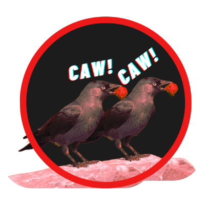 caw lection retainer 2